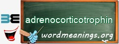 WordMeaning blackboard for adrenocorticotrophin